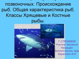 Обложка для материала Внешнее строение рыбы