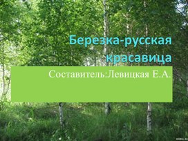 Презентация по окружающему миру в старшей группе "Березка - русская красавица"