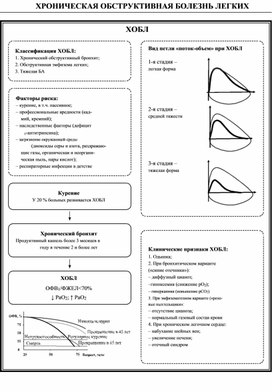 ХРОНИЧЕСКАЯ ОБСТРУКТИВНАЯ БОЛЕЗНЬ ЛЕГКИХ