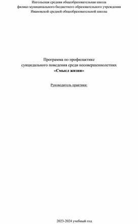 Программа по профилактике  суицидального поведения среди несовершеннолетних  «Смысл жизни»