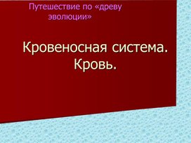 Эволюция кровеносной системы