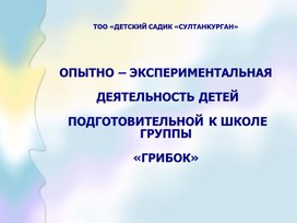 Презентация опыты с дошкольниками