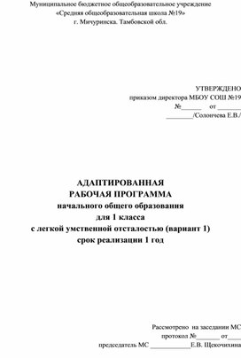 Адаптированная рабочая программа по чтению для 1 класса  с УО 1 вариант