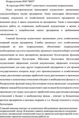 Обложка для материала Подразделения ООО "БМУ"