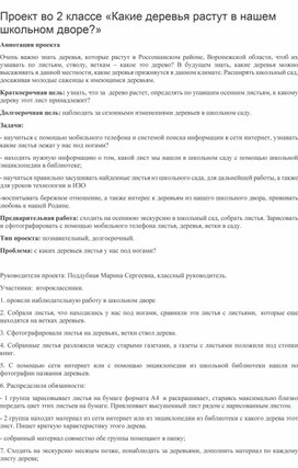 Проект во 2 классе «Какие деревья растут в нашем школьном дворе?»