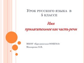 Обложка для материала "Имя прилагательное как часть речи"