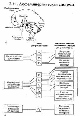 Обложка для материала материал по психофизиологии