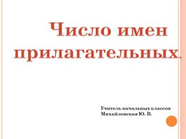 Обложка для материала Презентация: "Число имен прилагательных".