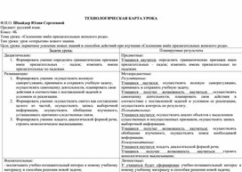 Конспект открытого урока на тему: "Склонение имен прилагательных женского рода"