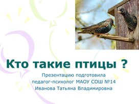 Обложка для материала Презентация о птицах для старших дошкольников и 1 класса.