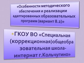 Организационно - методическое обеспечение реализации ФГОС ОВЗ