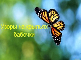 Обложка для материала Узоры на крыльях бабочки. Орнамент.