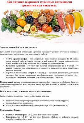 Обложка для материала Как питание закрывает ключевые потребности организма при нагрузках