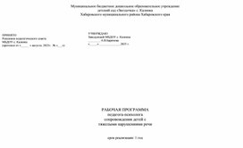 Обложка для материала РАБОЧАЯ ПРОГРАММА педагога-психолога  сопровождения детей с  тяжелыми нарушениями речи