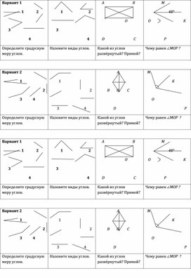 Самостоятельная работа. Виды углов. 5 класс.