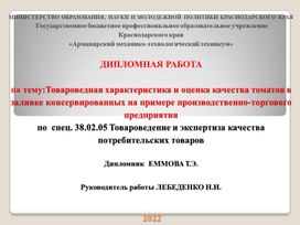 Презентация выпускной квалификационной работы пример