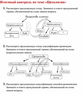 Экспериментатор поместил микропрепарат поперечного разреза ветки липы на предметный столик