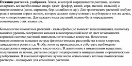 Обложка для материала Комнатные растения и уход за ними
