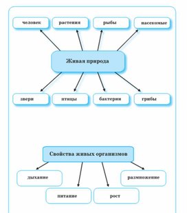 Обложка для материала Окружающий мир для начальных классов_схема_2