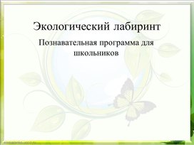 ЭКОЛОГИЧЕСКИЙ ЛАБИРИНТ