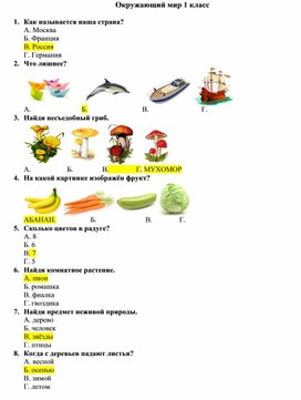 Обложка для материала Индивидуальное занятие "Умный Мамонтёнок" "Окружающий мир" (Купаев Амир)