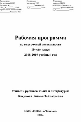 Рабочая программа по внеурочной деятельности