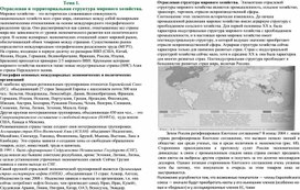 Учебная карта действий по теме Отраслевая и территориальная структура мирового хозяйства