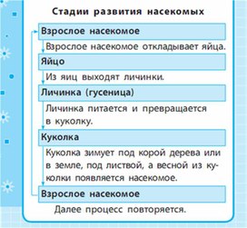 Обложка для материала Окружающий мир для 1-4 классов_схема_18