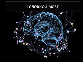 Обложка для материала Презентация по биологии на тему: "Головной мозг"
