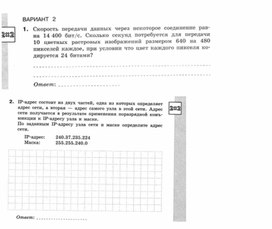 Обложка для материала Информатика._11кл._самостоятельная работа_компьютерные сети_2