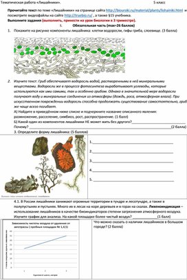 Практическая работа по теме "Лишайники"
