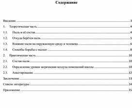 Исследовательская работа "Откуда берётся пыль"