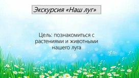 Экскурсия "Наш луг"