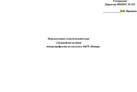 Перспективно-тематический план учебной практики  264 часа "Повар"