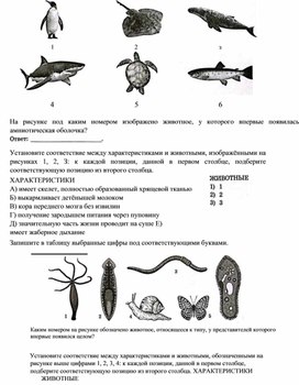 Обложка для материала Подборка заданий по зоологии из Сборника вариантов ЕГЭ по биологии Рохлов