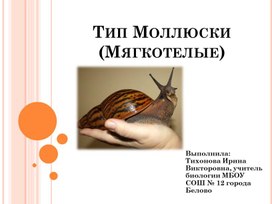 Презентация "Тип Моллюски", зоология 7 класс. Содержит информацию по нескольким урокам.