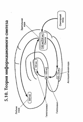 Обложка для материала материал по психофизиологии