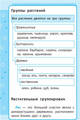 Обложка для материала Окружающий мир для 1-4 классов_схема_10