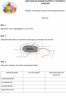 Образовательный маршрут «Можно ли бактерию назвать клеткой-организмом?».