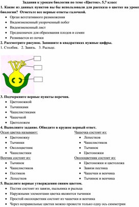 Задания по теме "Цветок"