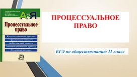 Обложка для материала Презентация "Процессуальное право"