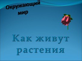 Обложка для материала Презентация по окружающему миру на тему "Растения" (1 класс)