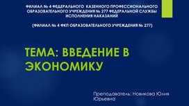 Обложка для материала презентация на тему урока "Введение в экономику"