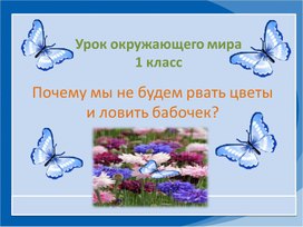 Презентация по окружающему миру на тему: "Почему мы не будем рвать цветы и ловить бабочек?" (1 класс)