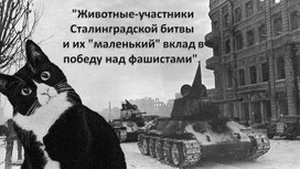 Обложка для материала Животные - участники Сталинградской битвы