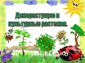 Дикорастущие и культурные растения