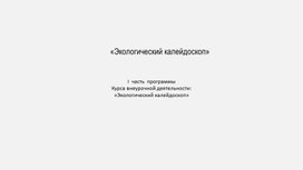 Программа курса внеурочной деятельности: «Экологический калейдоскоп»