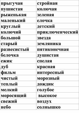 Методический материал «Согласование имени существительного с  именем прилагательным»