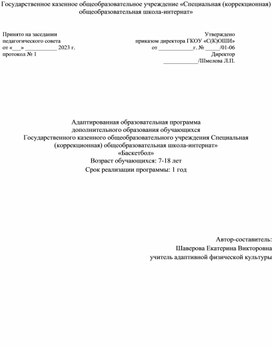 Обложка для материала Программа по баскетболу для детей с ОВЗ