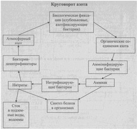 Материал к урокам  биологии